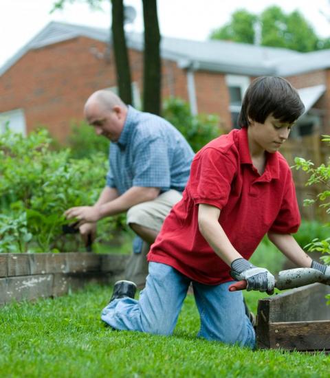 Gardening