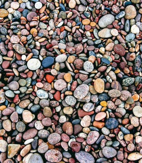 Smooth pebbles for sensory gardening activity