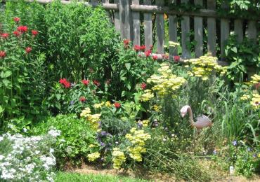 Nurture through Nature: Losing My Garden